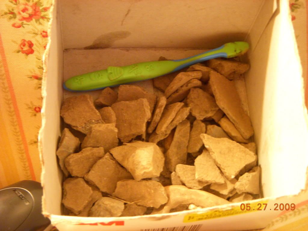 wvatripmay09016.jpg