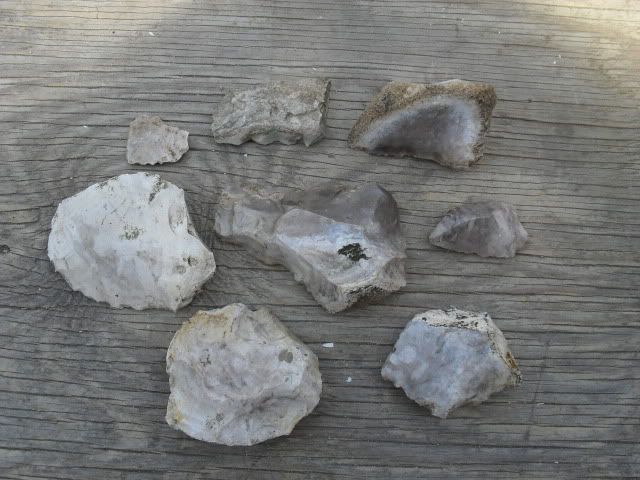 SDC10474.jpg