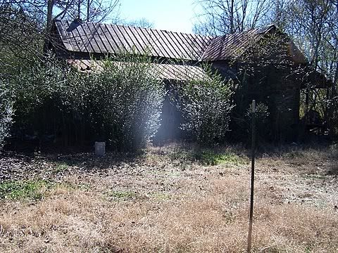 100_0508.jpg