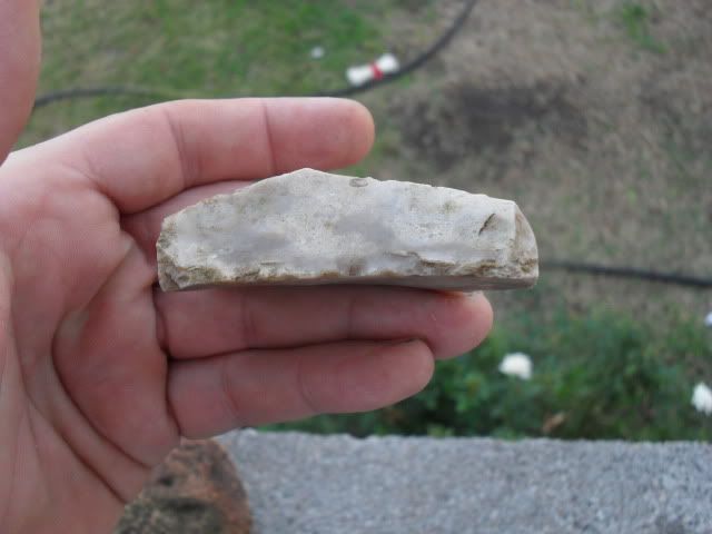 SDC10070.jpg