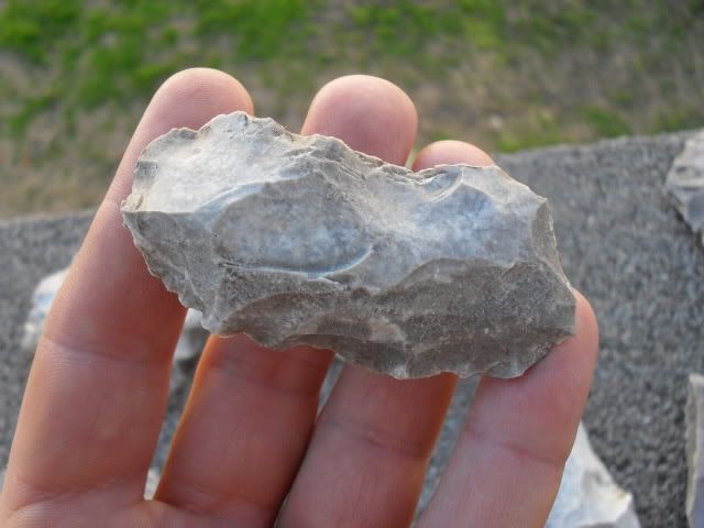 SDC10058.jpg