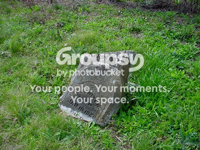 DSC01104.jpg