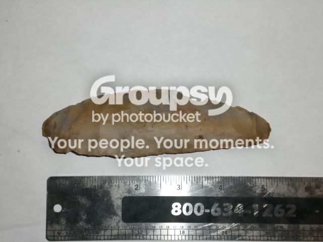 CIMG5096.jpg