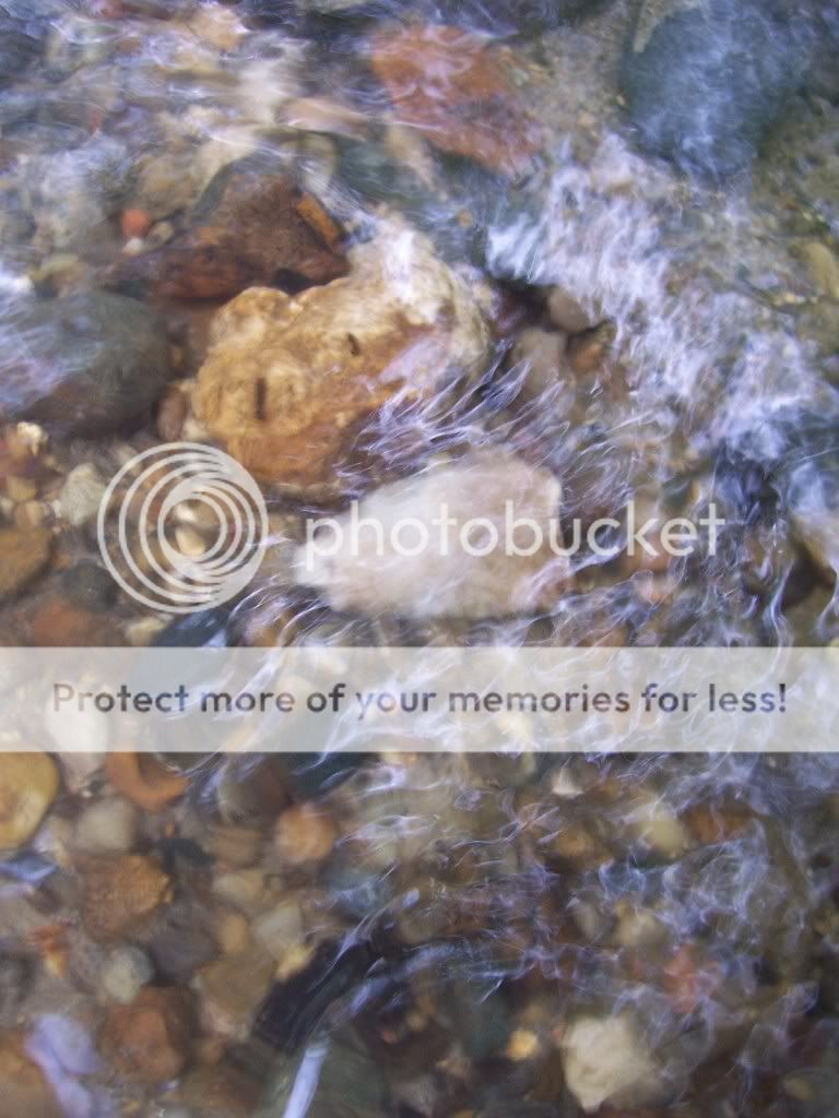 creekfinds007-1.jpg