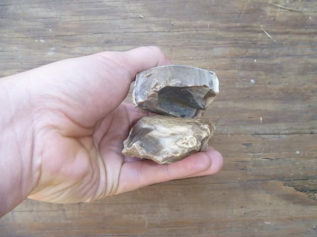 P1010181.jpg