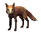 fox.gif