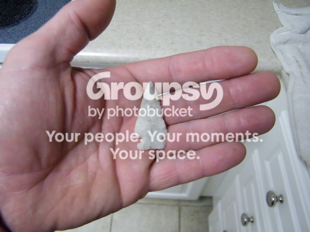 Picture007.jpg
