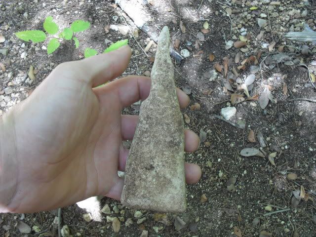 SDC10112.jpg