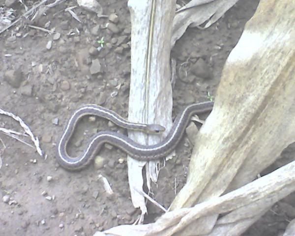 image-5.jpg