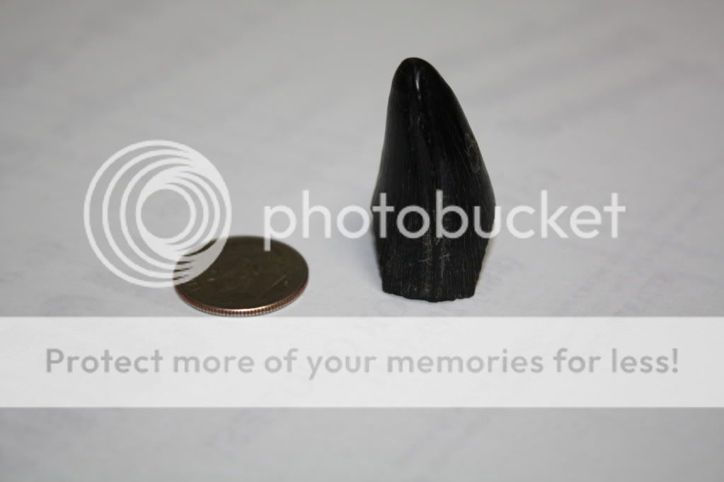 IMG_6509.jpg