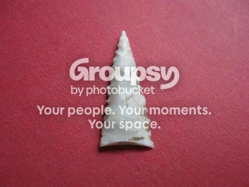 IMG_2917.jpg