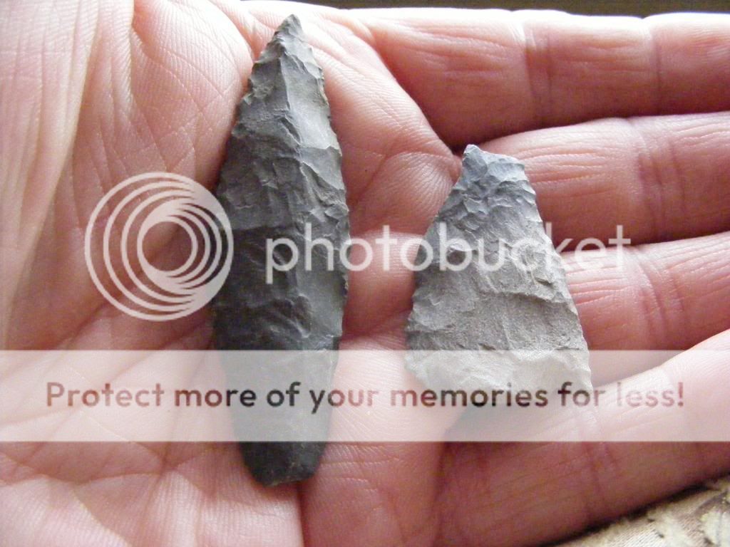 2009_0308BSL0003.jpg
