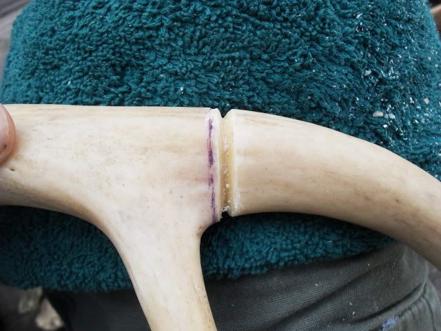 SDC11528.jpg