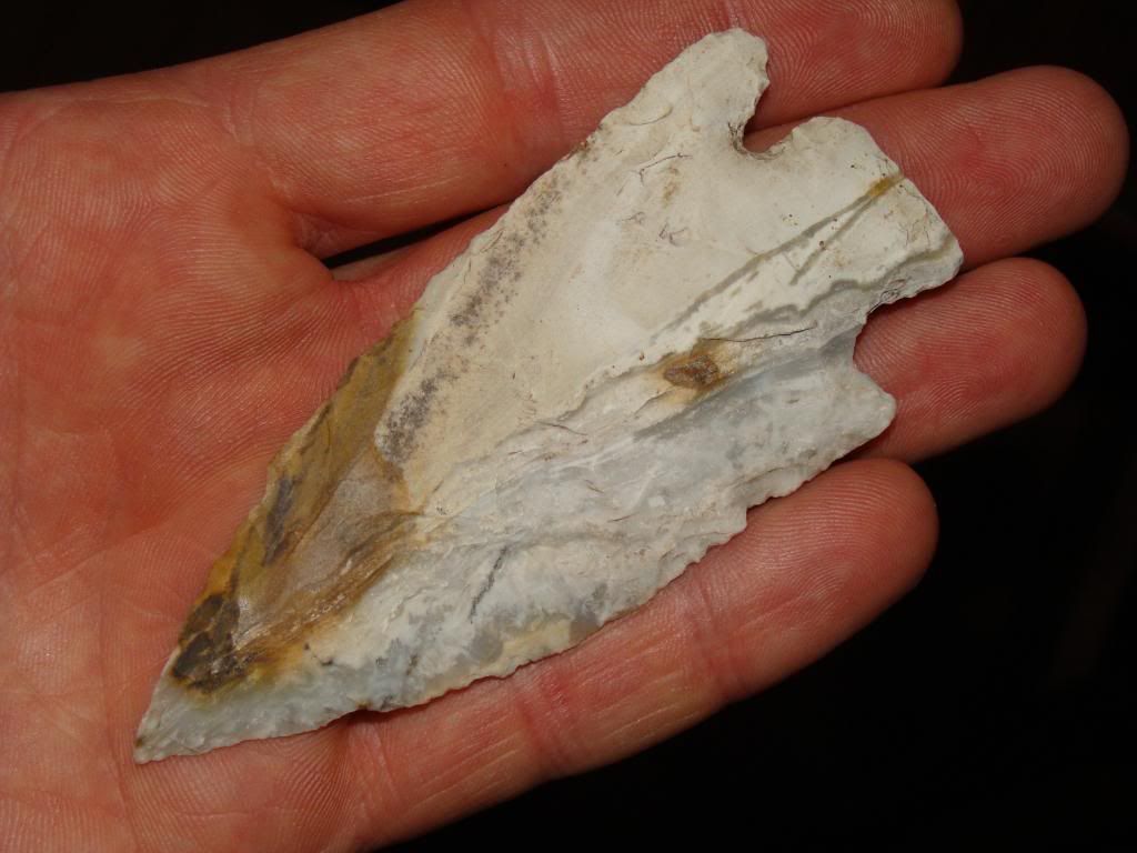 DSC00810.jpg