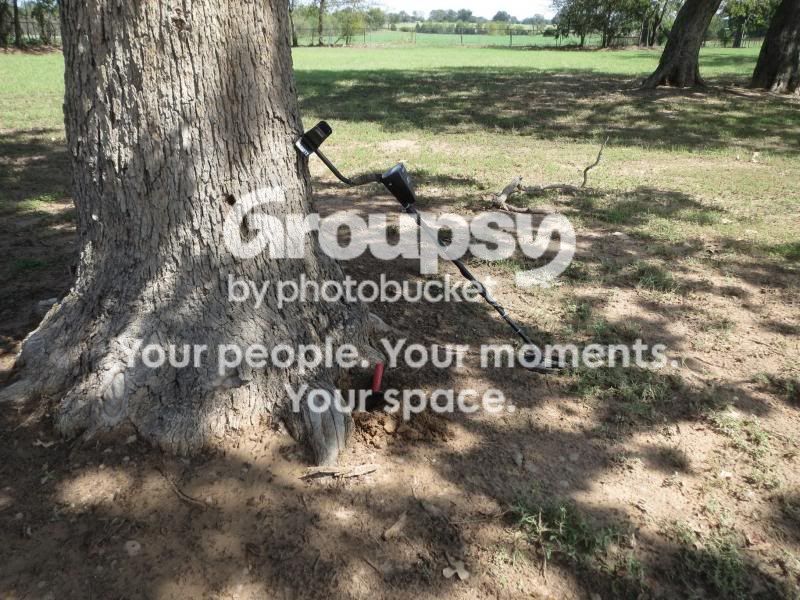 IMG_1055_zps1db191bb.jpg