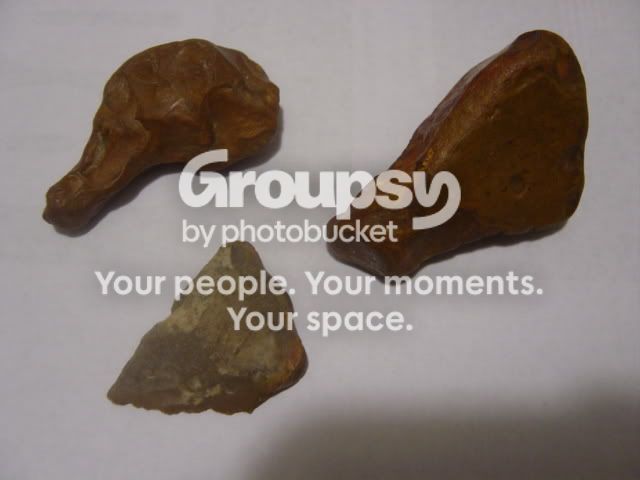 DSC02330.jpg
