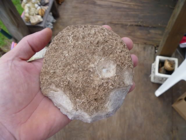 P1010037.jpg