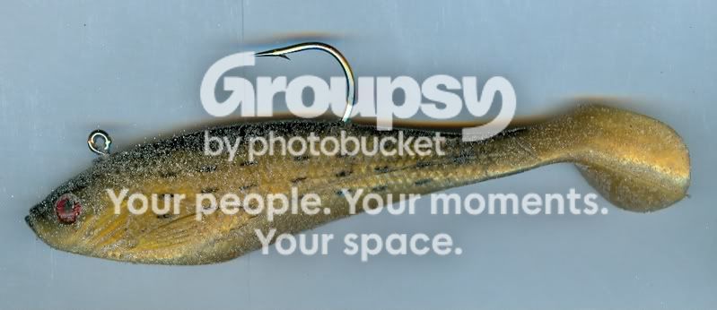 FishHook051908.jpg