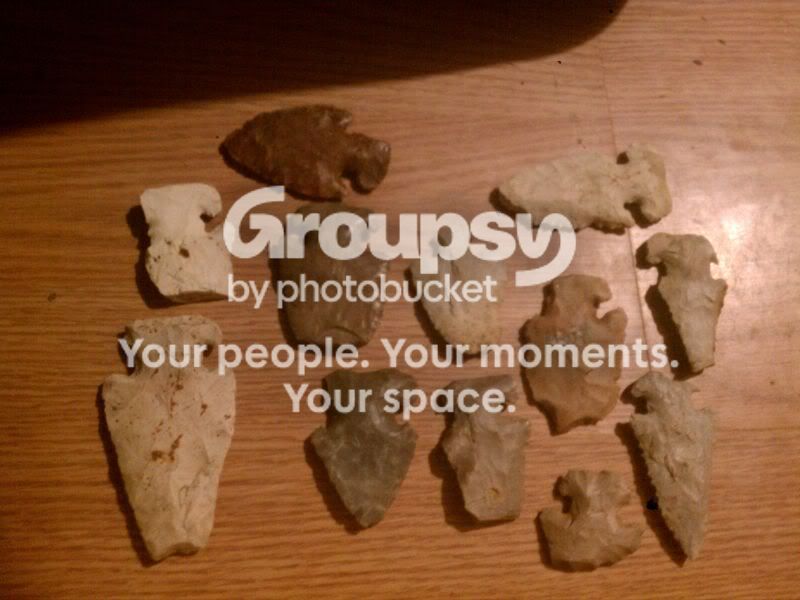 IMAG0244.jpg