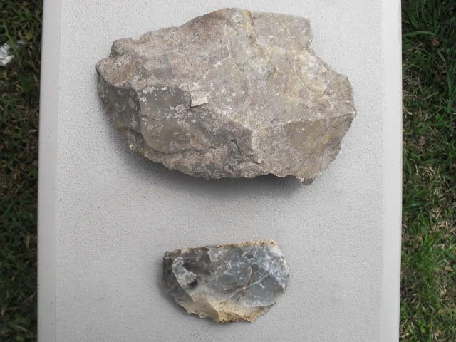 SDC11294.jpg