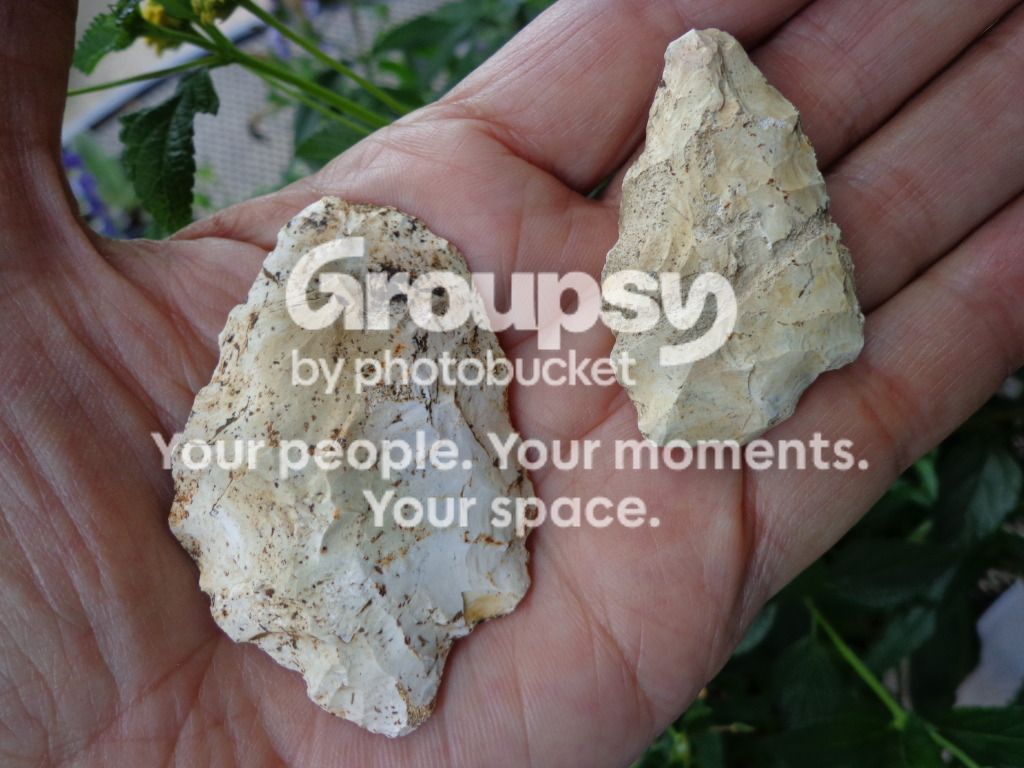DSC00111.jpg