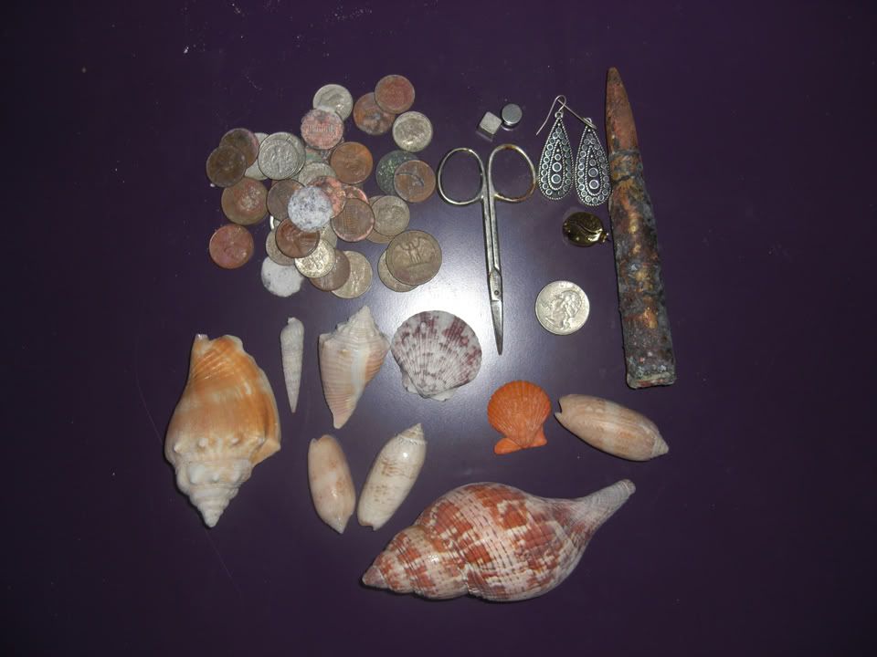 Lido-Beach-finds.jpg
