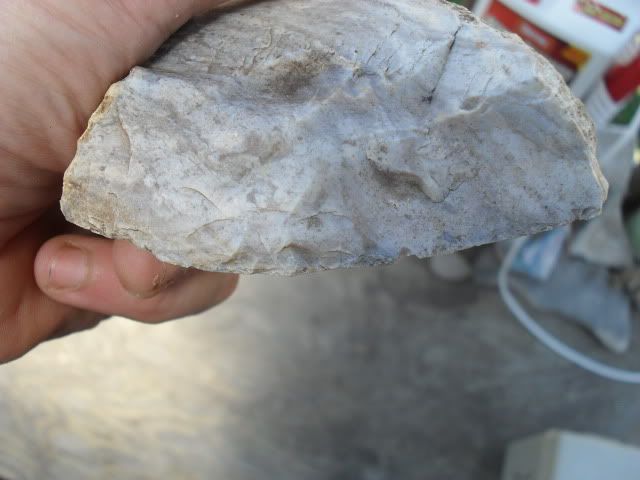 SDC10443.jpg