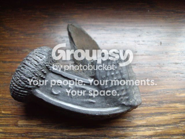 DSC04189_zpsaecf4283.jpg