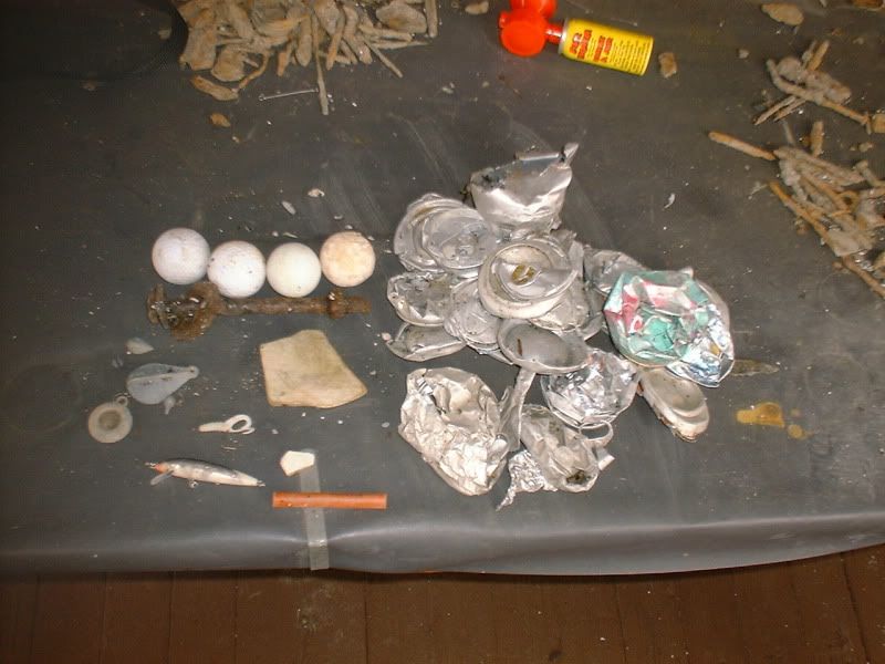 3112beachfinds.jpg