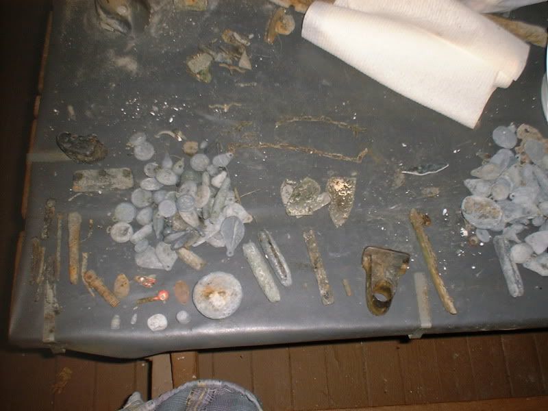 92011beachfinds.jpg