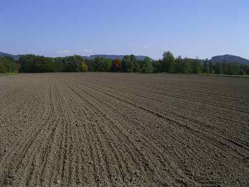 30Sep08tokfield.jpg