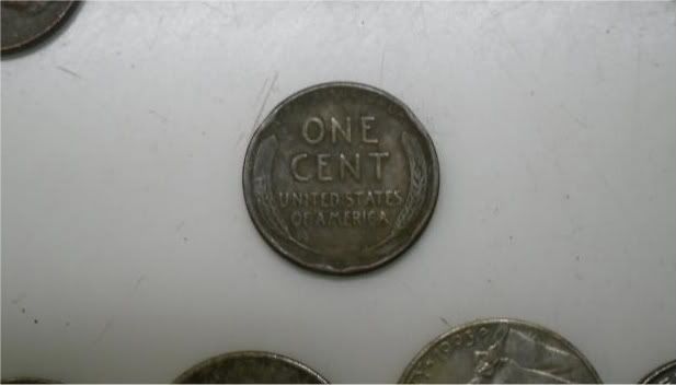 SDC10250.jpg
