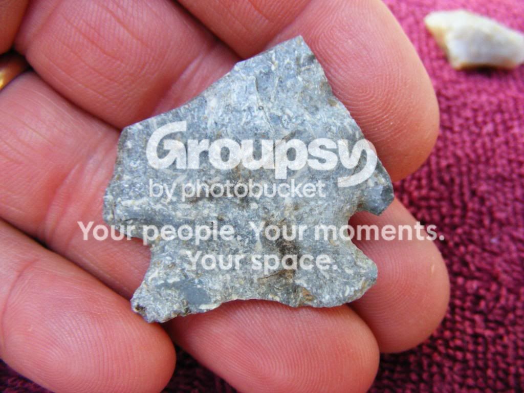 2009_0805button0011.jpg