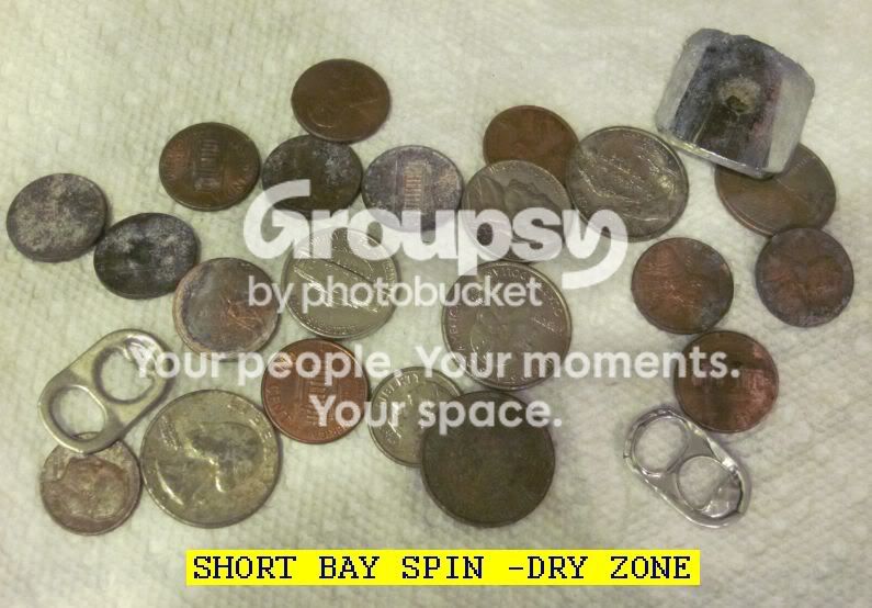 713BAYNUT.jpg