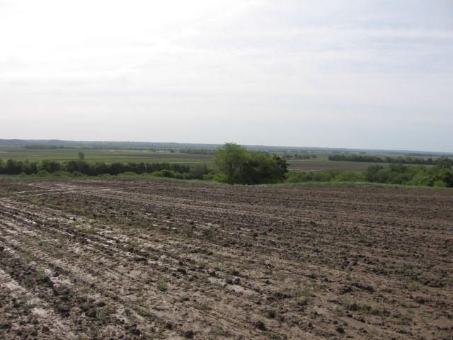 arrowheads5-14-09012.jpg