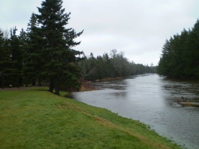 P5310004.jpg