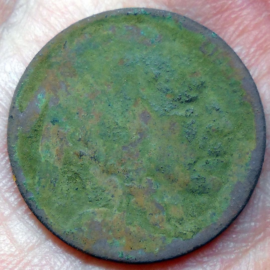 8710_Buffalo.jpg