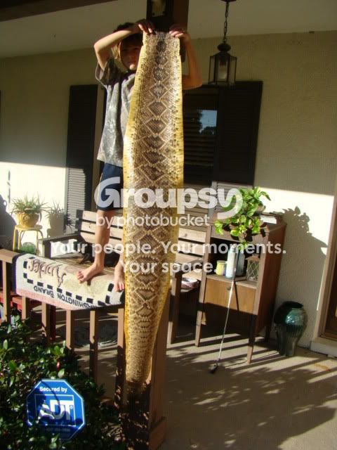 DSC09484-1.jpg