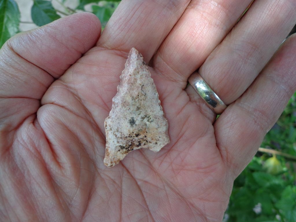DSC00220.jpg