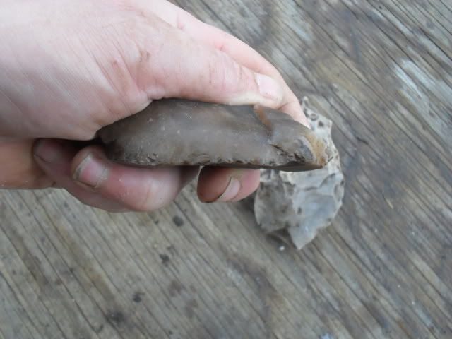 SDC10520.jpg