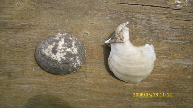 DSCI0853.jpg