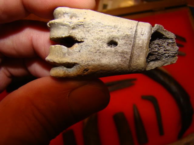 DSC04795-1.jpg