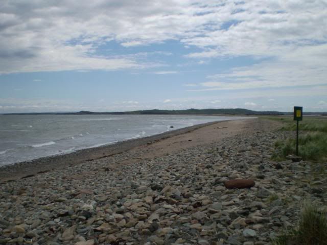 PA180001.jpg