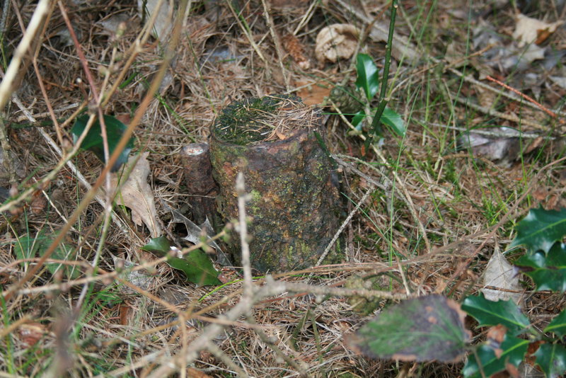 30585767jn.jpg