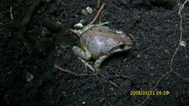 DSCI0866.jpg