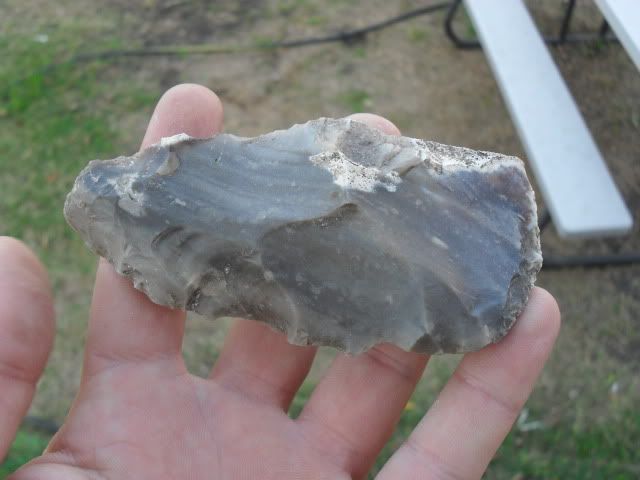 SDC10048.jpg