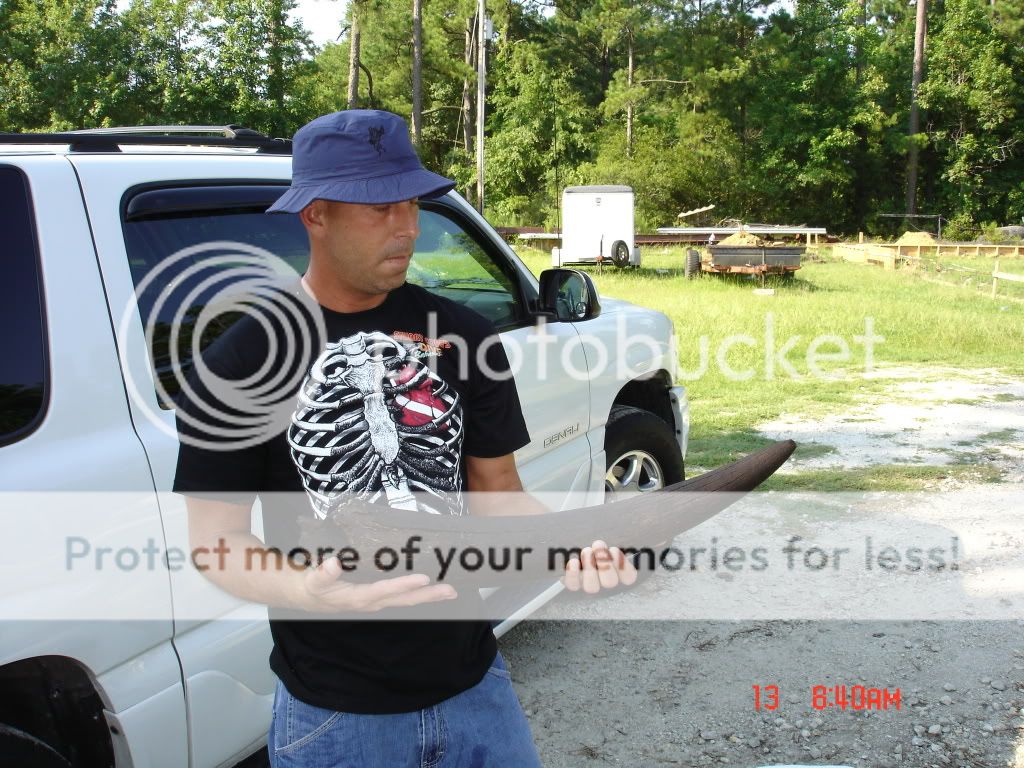 Picture001.jpg