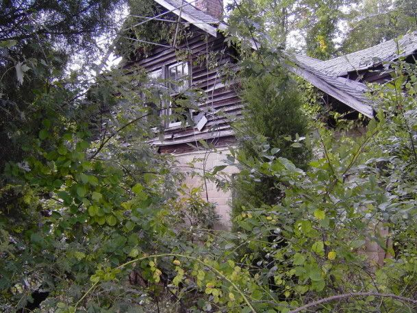 house9.jpg