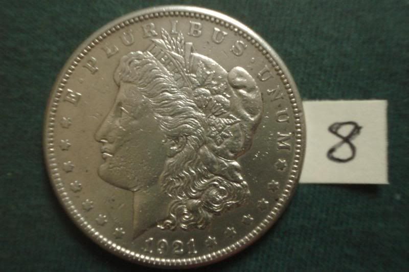 SilverDollars08FLarge.jpg