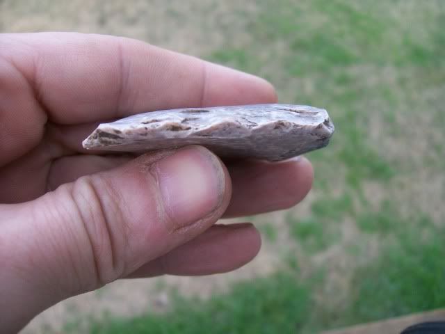 100_0427.jpg